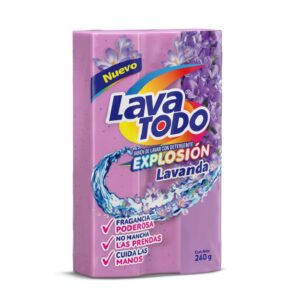 LAVATODO UNITARIO