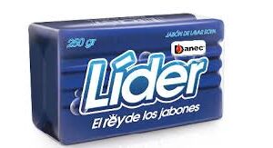 LIDER X4